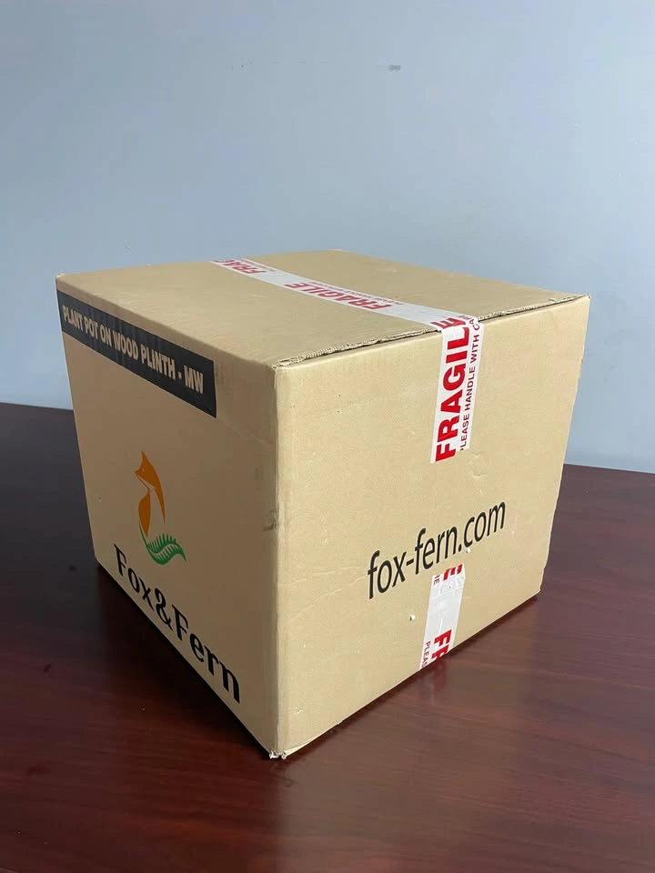 Unopened Fox & Fern Flower Pot - photo 3