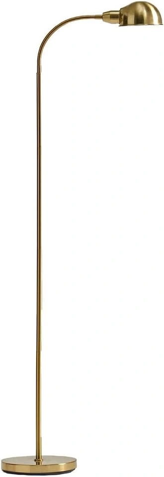 LED Gold Floor Lamp