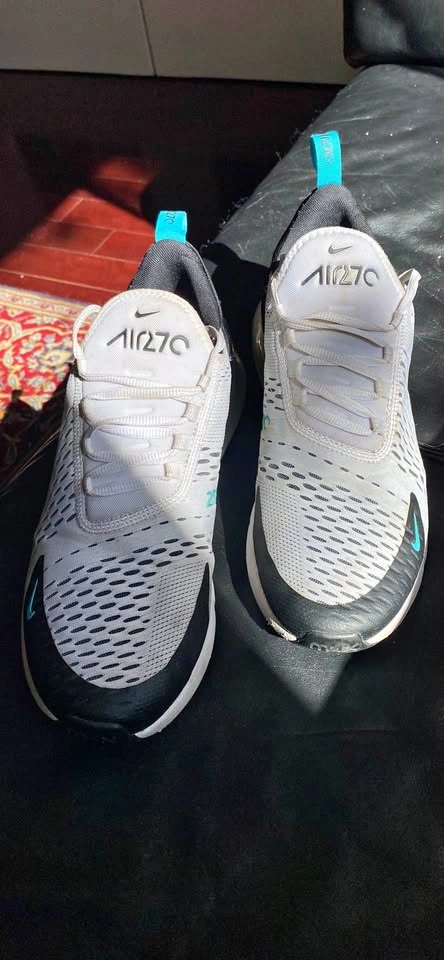 Nike Men's Air Max 270 Dusty Cactus - AH8050-001 Sz 10