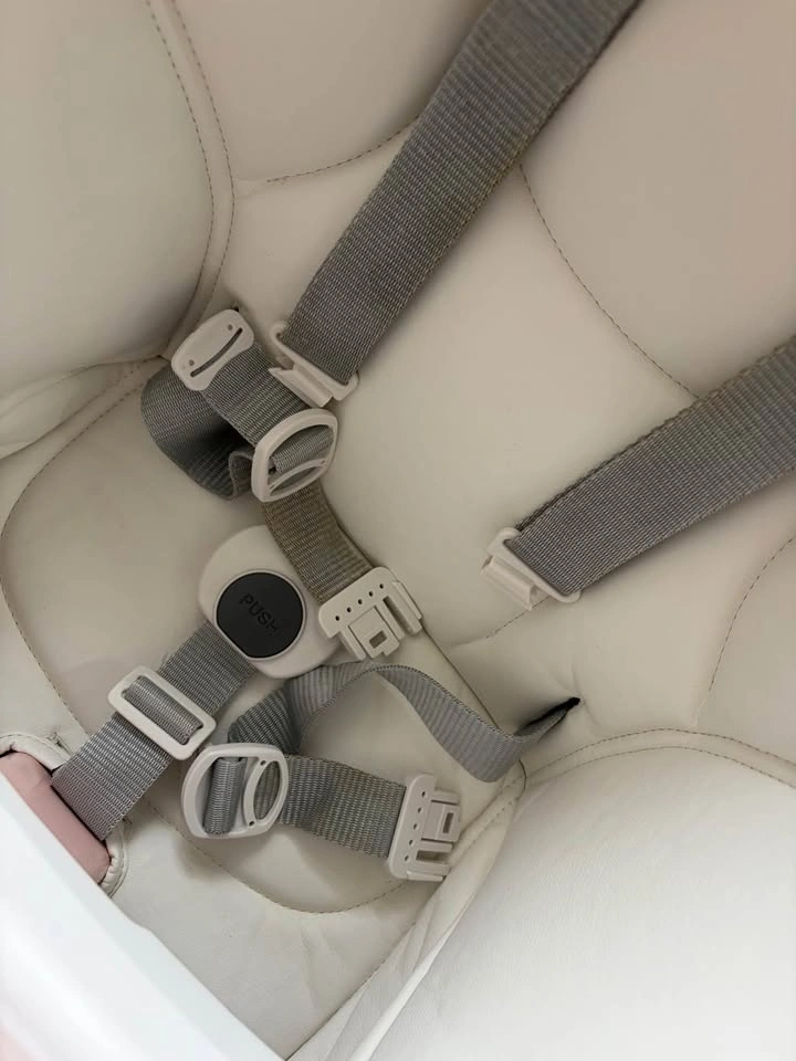 Peg Perego Prima Pappa Zero 3 High Chair (Newborn-3 yrs) - photo 4