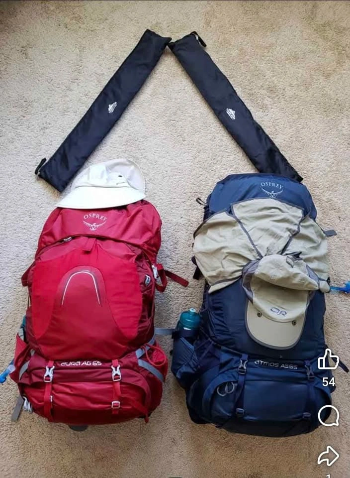 Osprey Atmos AG 65 Backpack - photo 5
