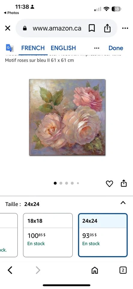 Framed picture of roses