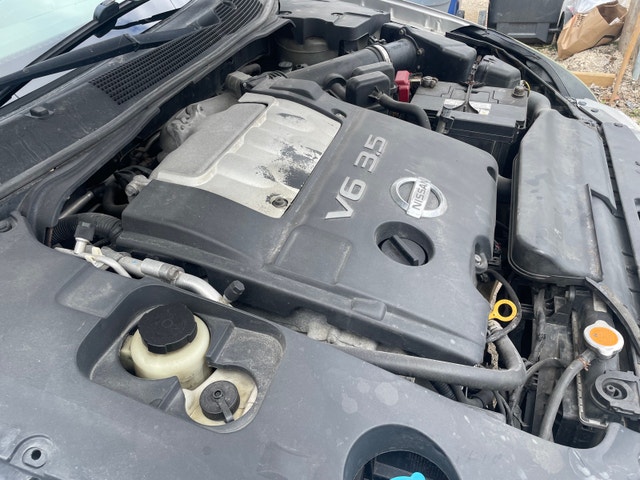 2005 Nissan Maxima SE - photo 3