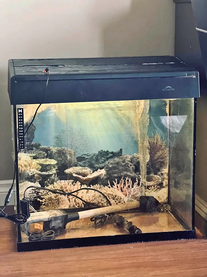 Eclipse Aquarium Fish Tank 30G & Accessories