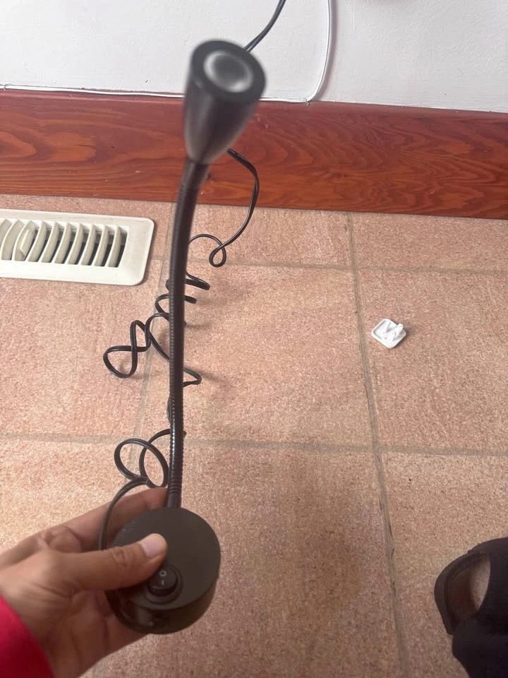 Black Gooseneck Desk Lamp