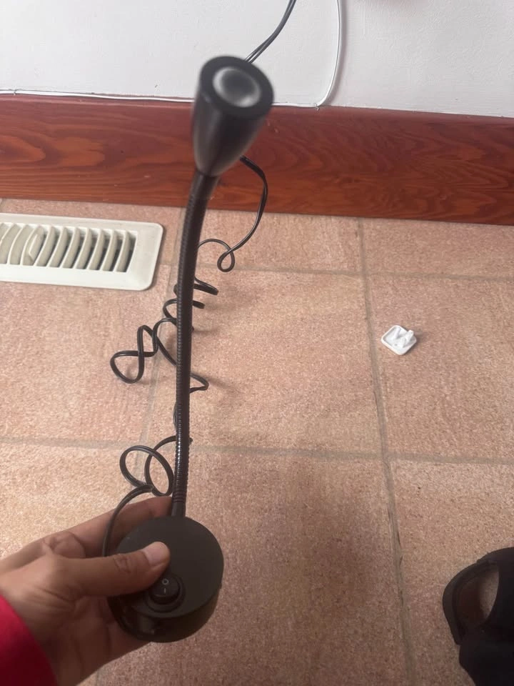 Black Gooseneck Desk Lamp - photo 2