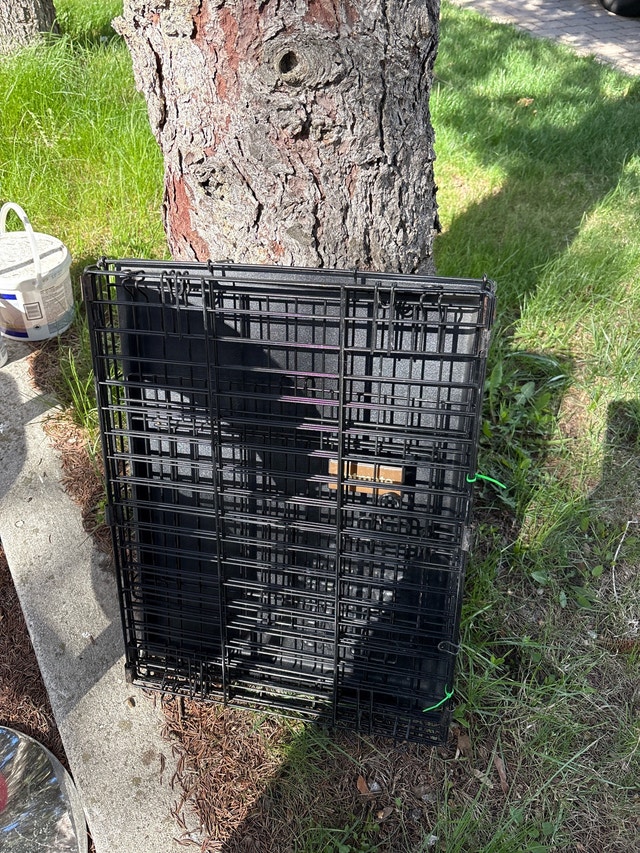 Sturdy Used Dog Crate