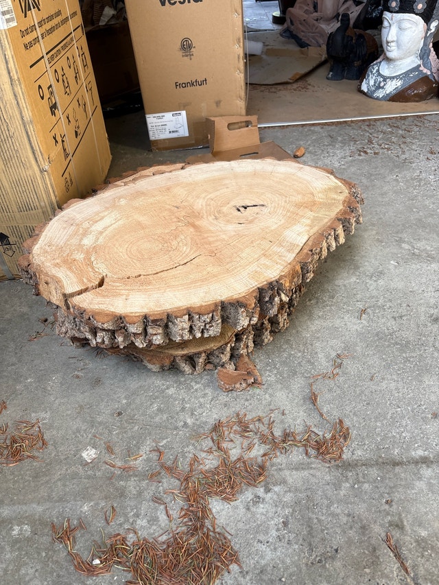 Wood Slice