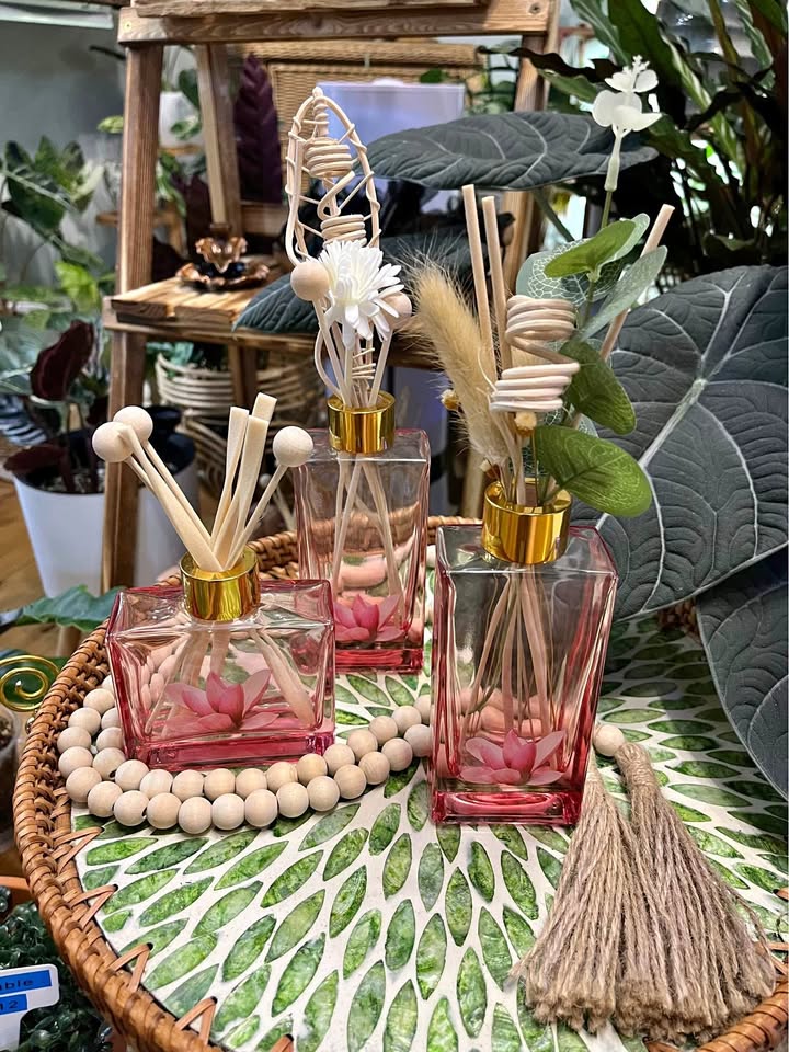 Glass Aromatherapy Reed Diffusers w/ Scented Oil