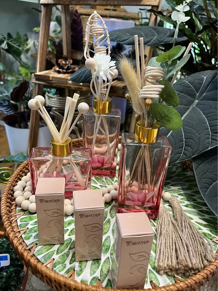 Glass Aromatherapy Reed Diffusers w/ Scented Oil - photo 2