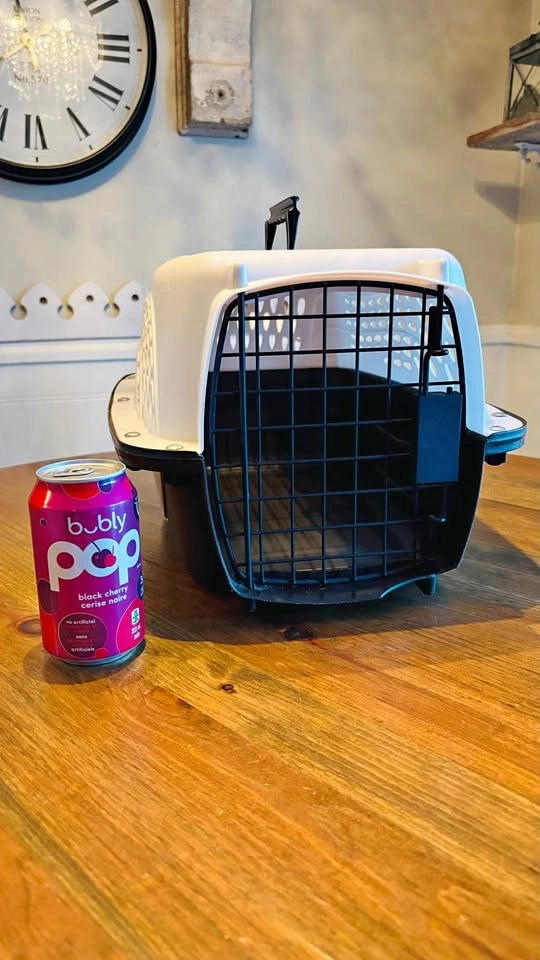Petmate E-Z Load Two Door Dog & Cat Kennel