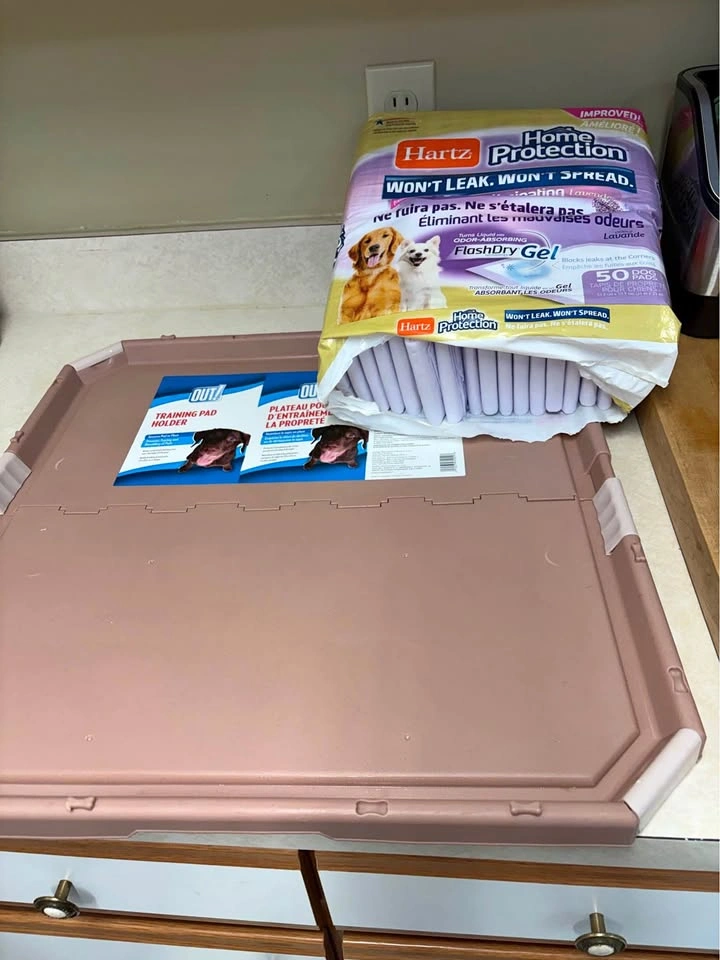 Training Pee Pads and Tray