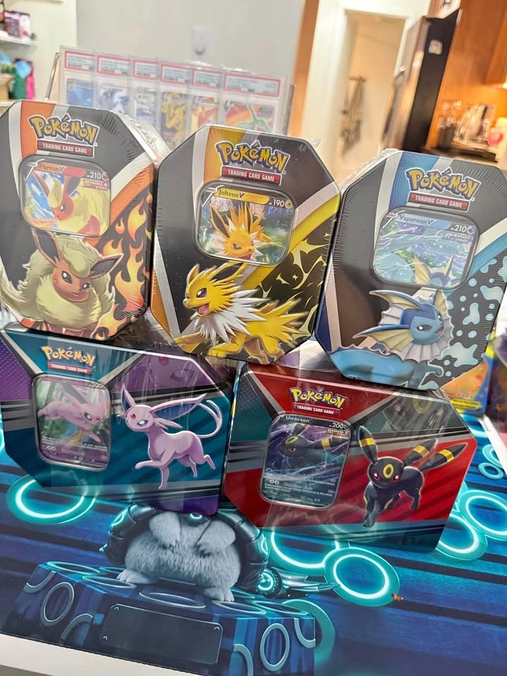 Eevee Evolutions Tin Bundle
