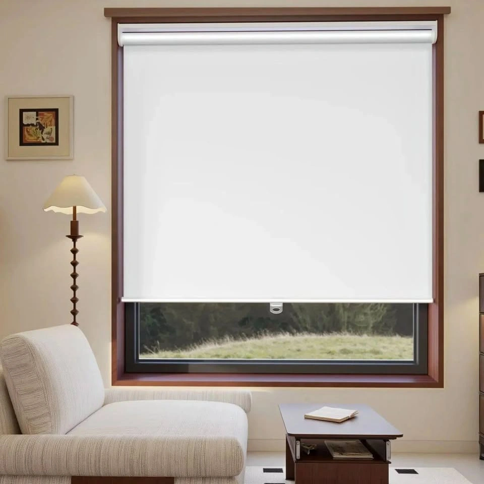 Cordless Roller Shades 48"W*72"H LK123607