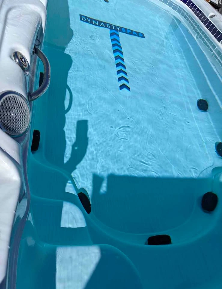 Dynasty Spas 17’ Swim Spa - photo 2