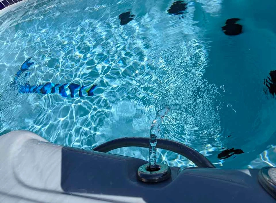 Dynasty Spas 17’ Swim Spa - photo 3