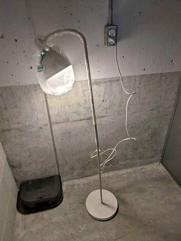 Floor Lamp