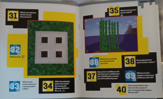 Independent and Unofficial Guide Minecraft Quiz Book - photo 3