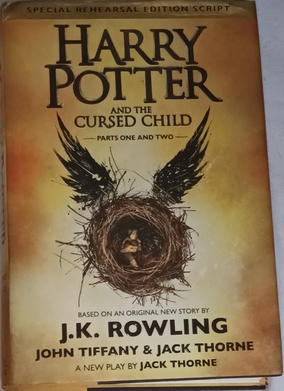 Harry Potter Cursed Child - Parts One and Two (Special Rehearsal