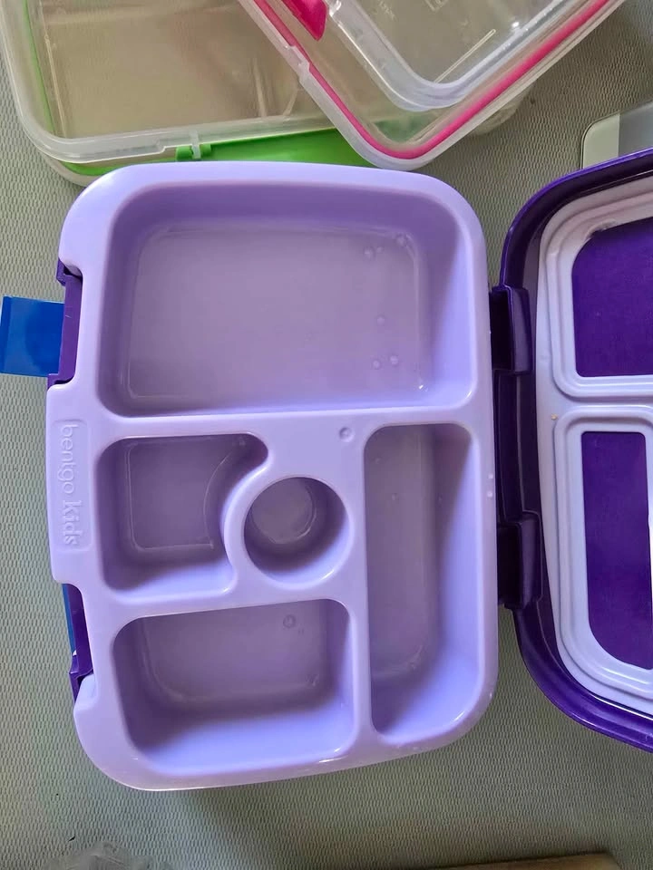 Bentgo & Sistema Bento Boxes - photo 2