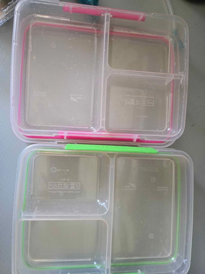Bentgo & Sistema Bento Boxes - photo 3