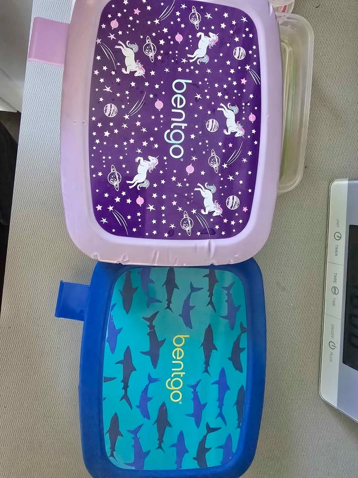 Bentgo & Sistema Bento Boxes - photo 4