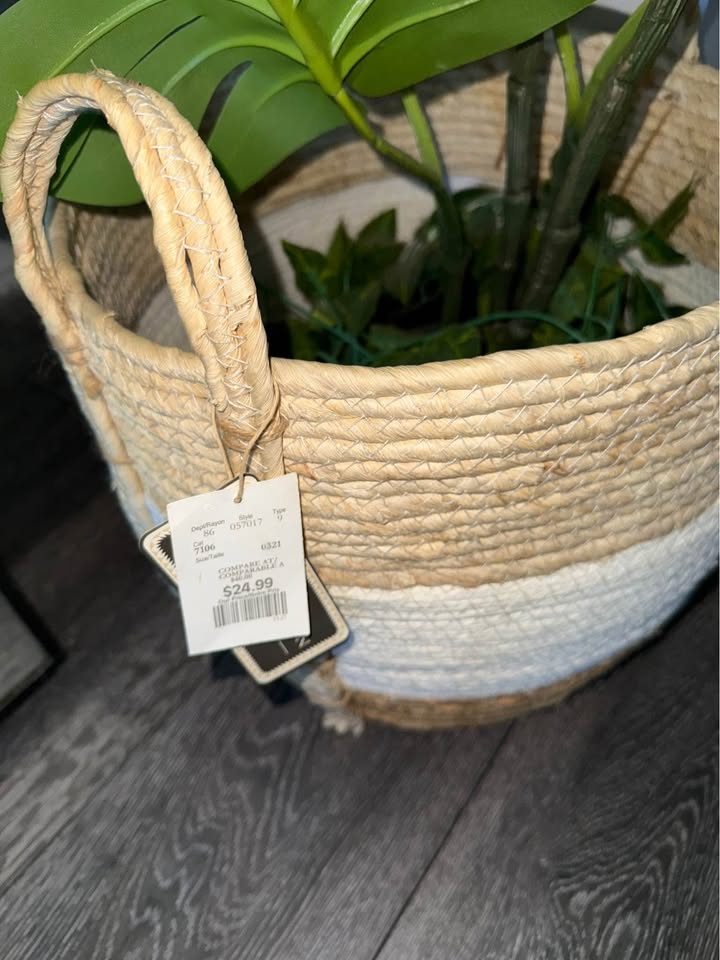 Woven Basket Planter and Plants - photo 5
