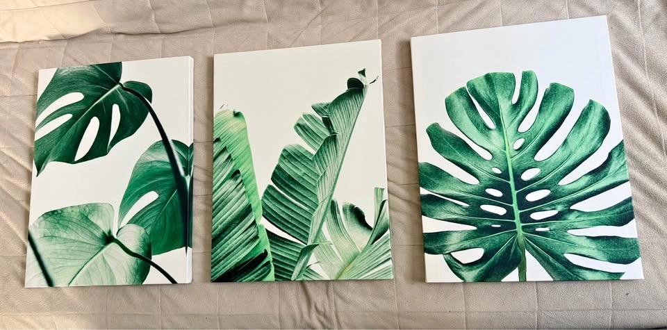 Modern Tropical Canvas Wall Art Set – Set of 3