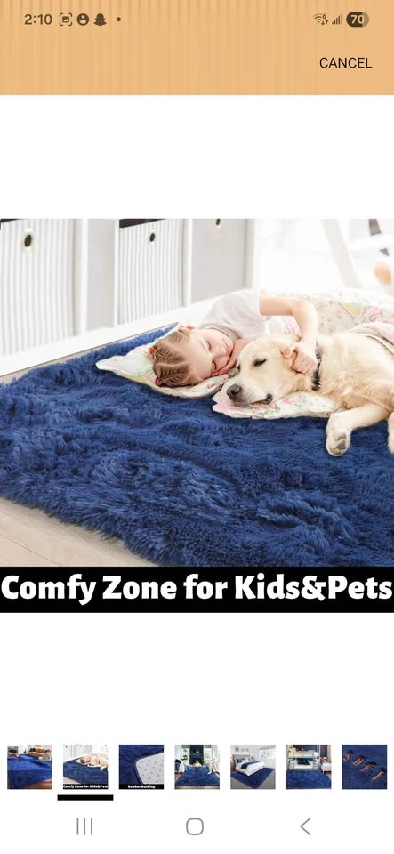 7*10 Shaggy Area Rug - New - photo 2