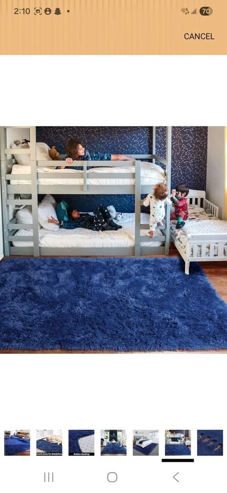 7*10 Shaggy Area Rug - New - photo 3
