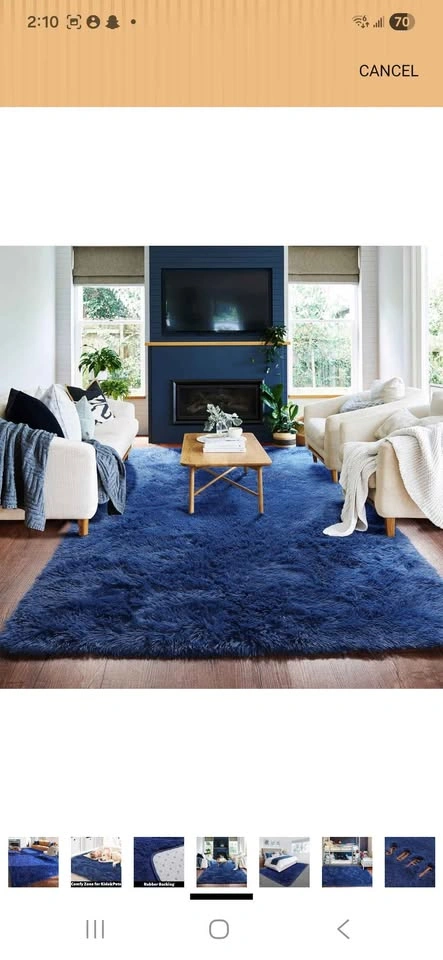 7*10 Shaggy Area Rug - New - photo 4