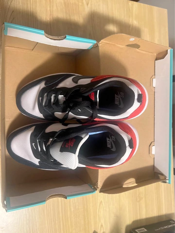 Nike SB shoes, red and black