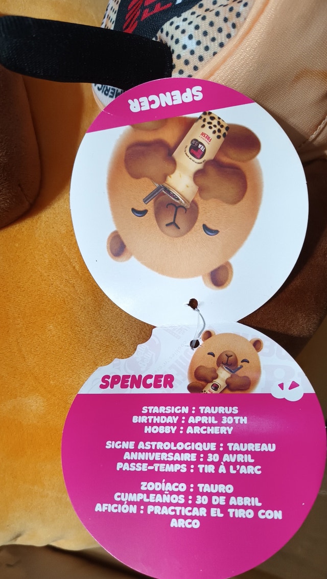 NEW Snackles Series 2 Capybara & Boba 16 Inch Plush - photo 4