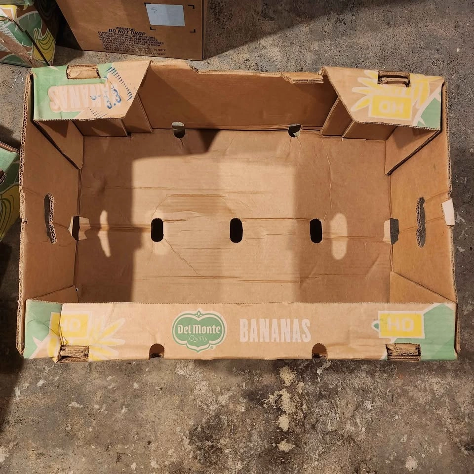 Cardboard Boxes - photo 4