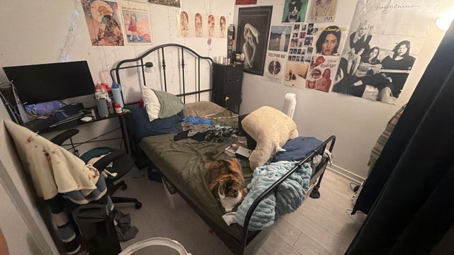 Ikea Double Bed Frame and 5 Drawer Dresser