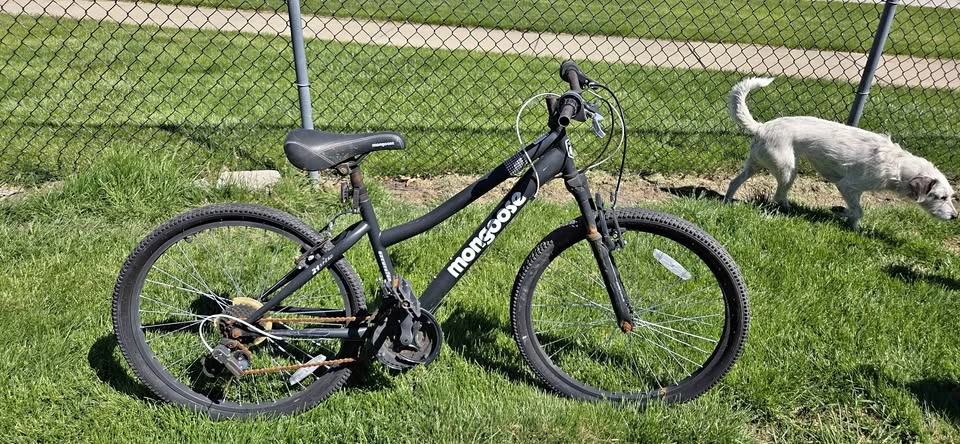 Mongoose Excursion 21-Speed Mountain Bike