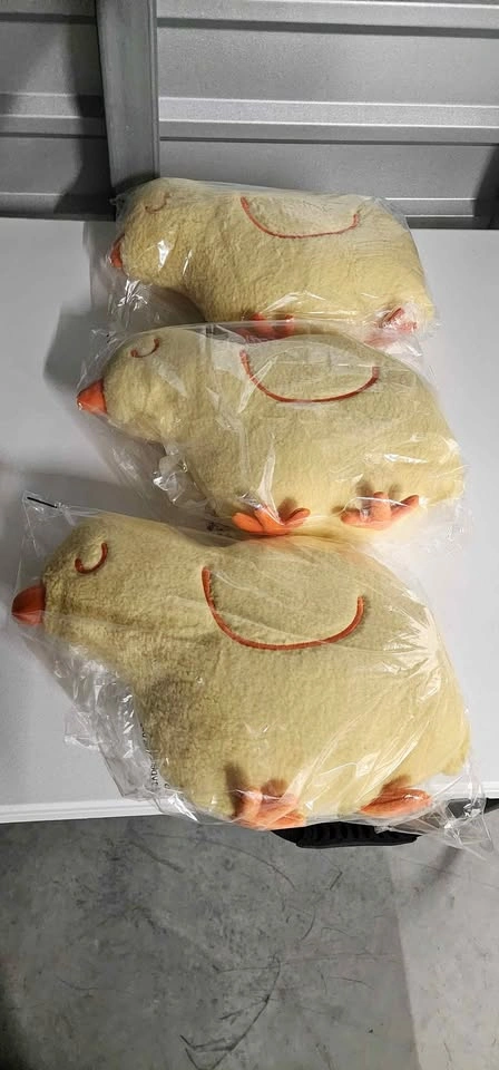 DUCK PILLOWS  $5 each