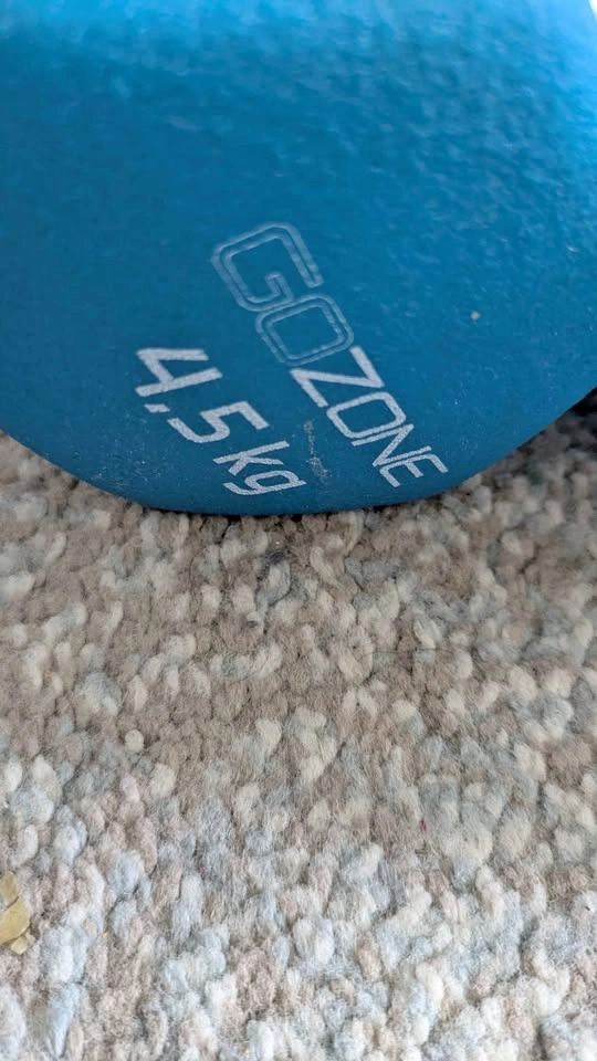 GOZONE 4.5kg (10lb) Dumbbells Pair