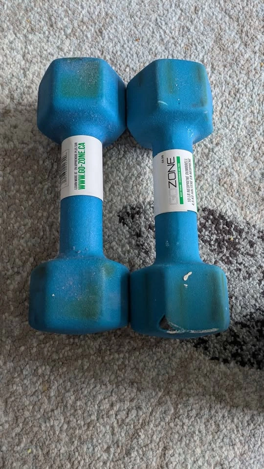 GOZONE 4.5kg (10lb) Dumbbells Pair - photo 2