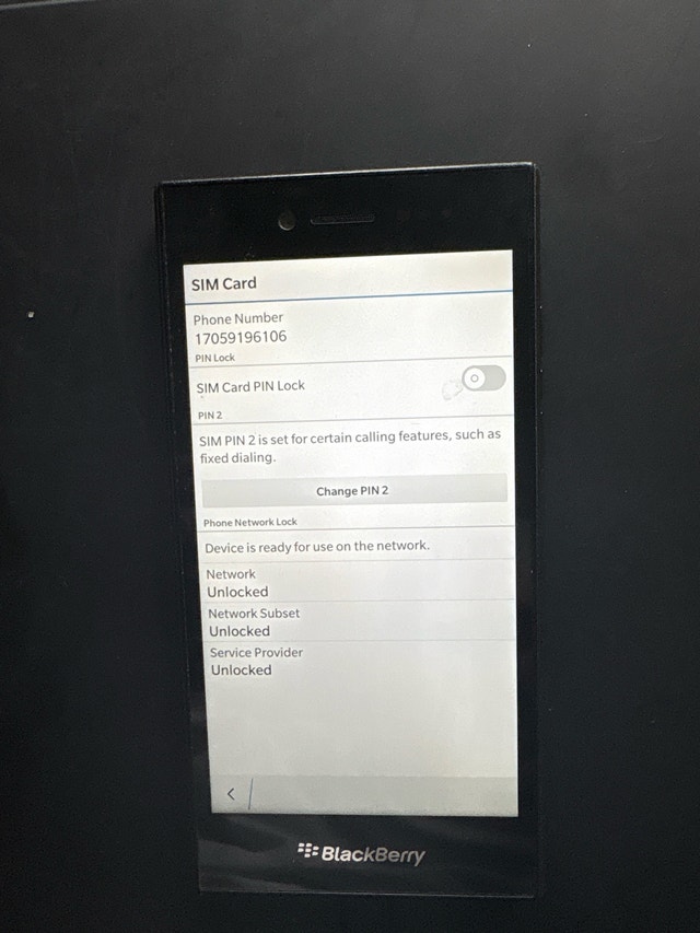 Blackberry Leap - Locked or Unlocked, Very Good Condition - photo 2
