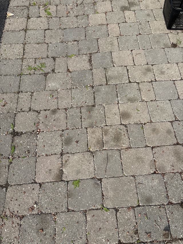 Paver Stones - Approx. 80 sq ft