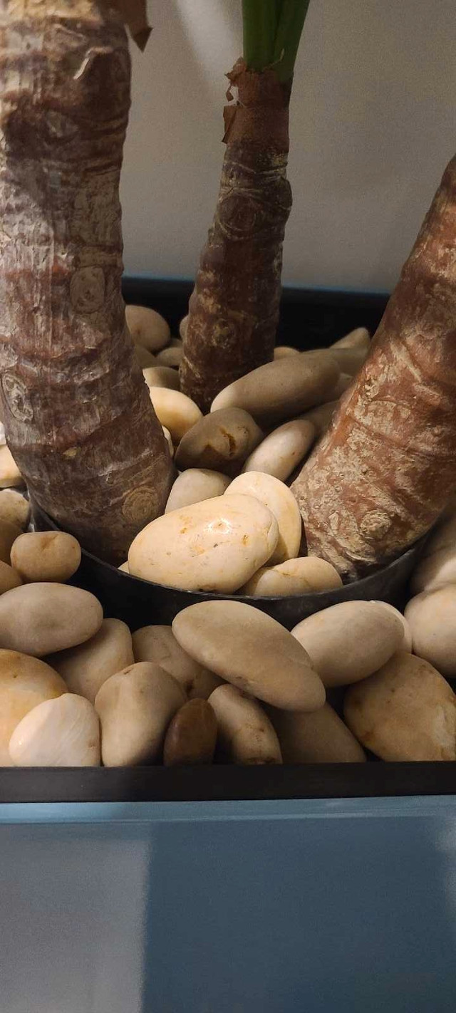 fake plant and pot - photo 3