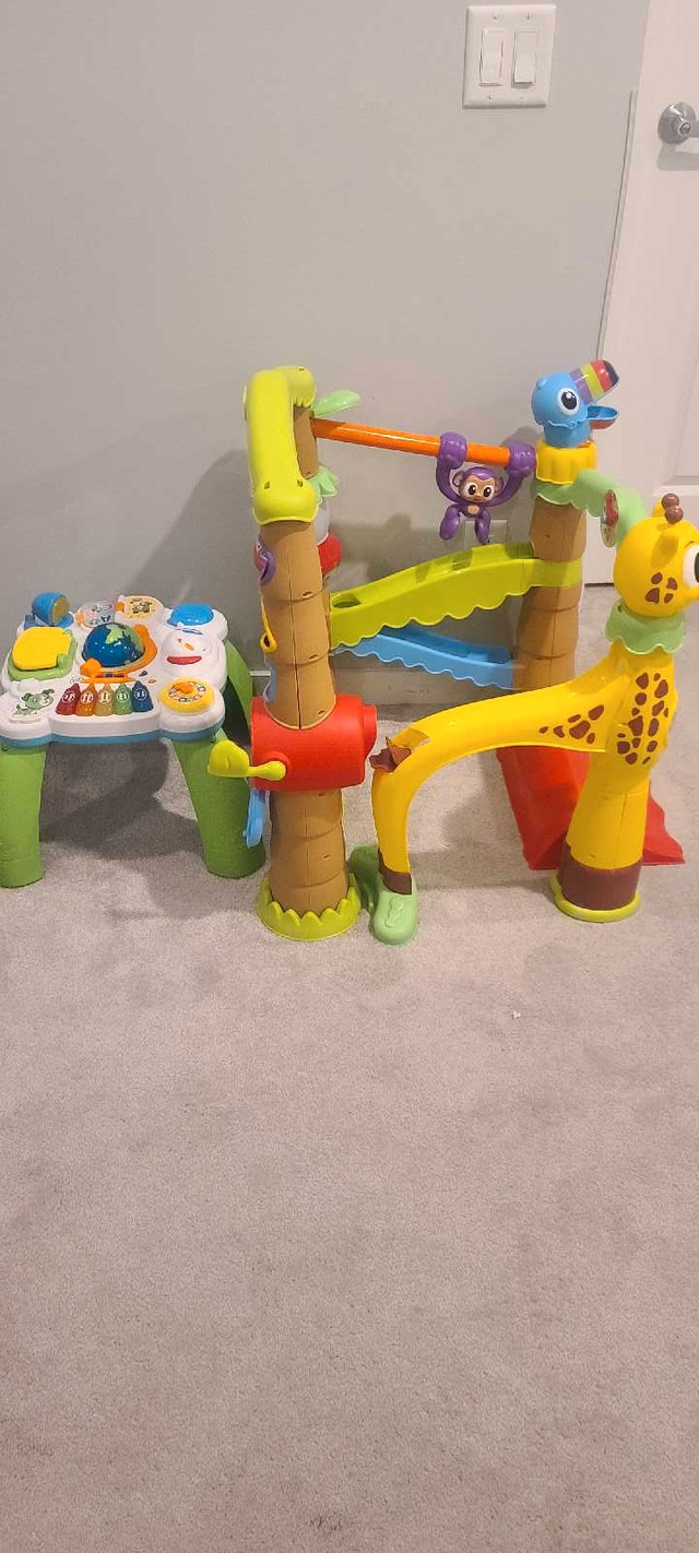 Jungle gym