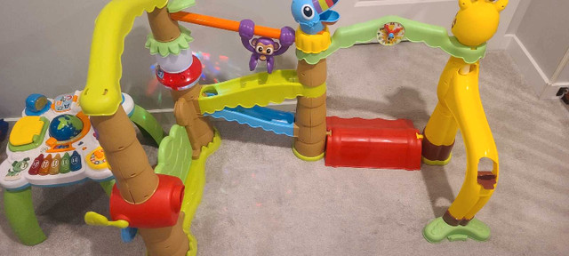 Jungle gym - photo 3