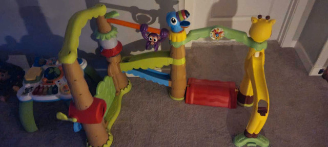 Jungle gym - photo 4