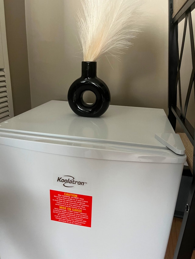 Koolatron Mini freezer – Compact & Working Perfectly - photo 2