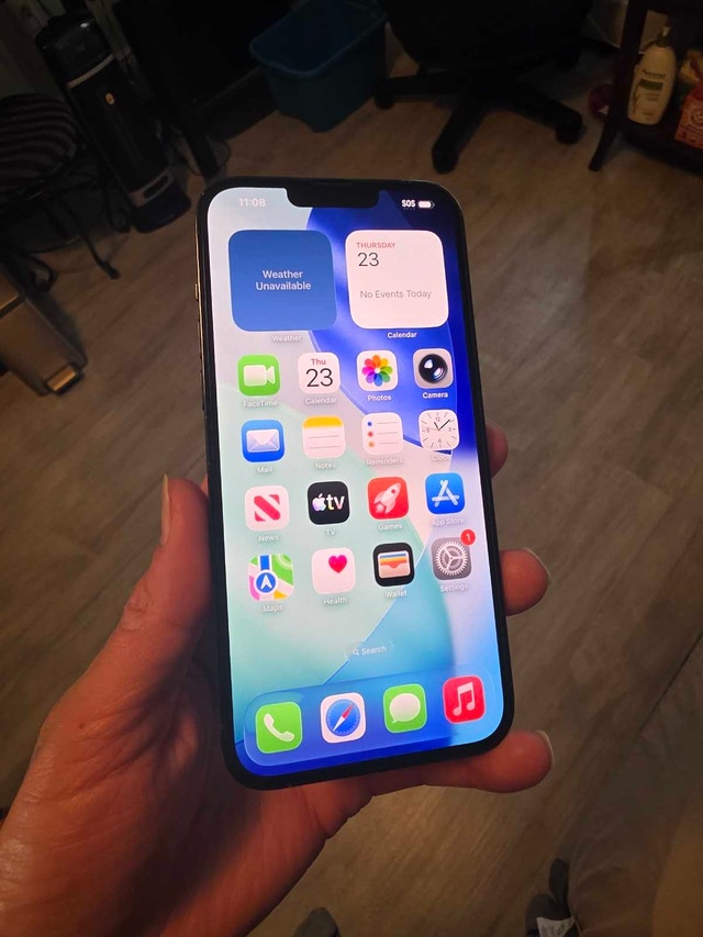 Sierra iPhone 13 Pro Max 256GB Unlocked