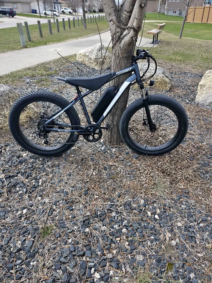 Funhang Electric Bike