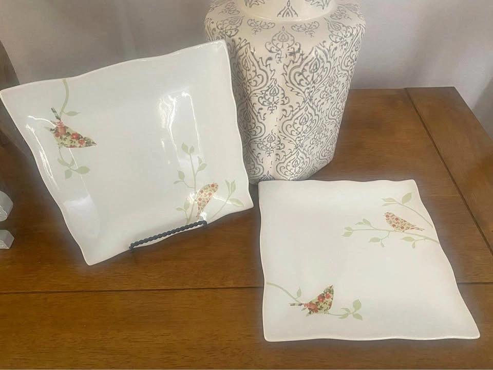 Set of 2 Fine China Plates