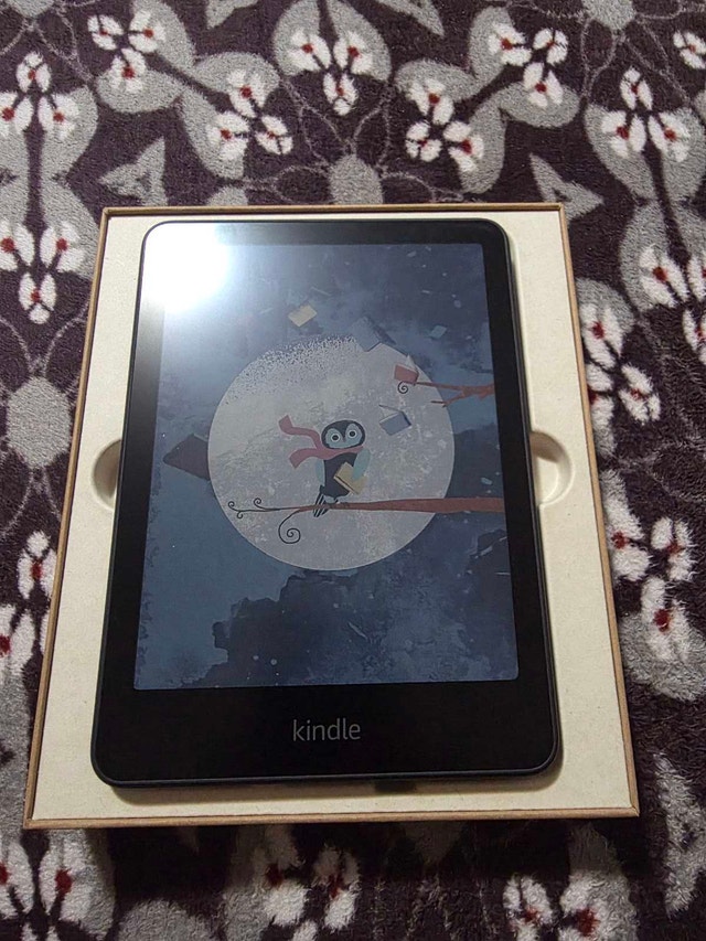 Kindle Colorsoft 16 GB - Like New - photo 2